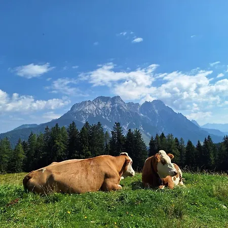 Lahnerhorn Marchenthorn Leogang